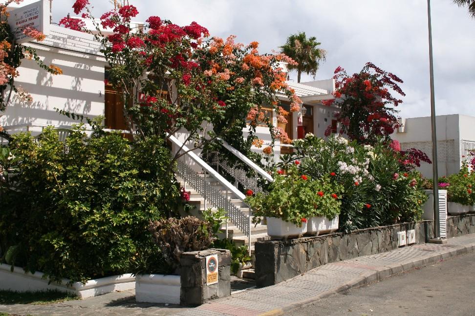 Apartamentos El Capricho Maspalomas  Exteriér fotografie