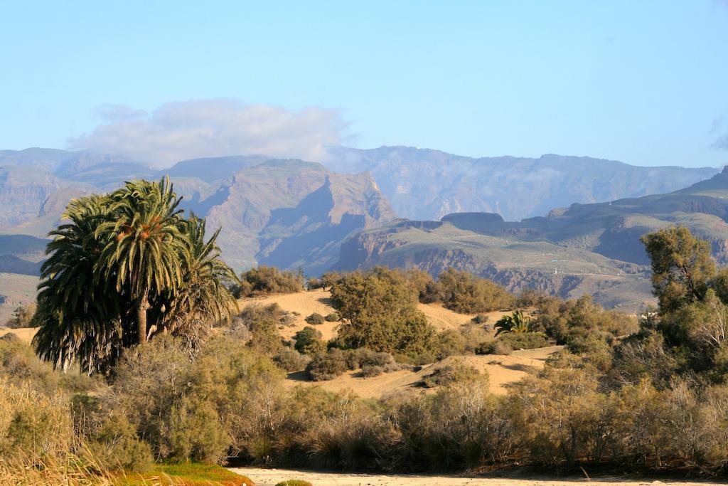 Apartamentos El Capricho Maspalomas  Exteriér fotografie